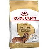 royal canin cockapoo