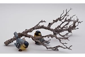 schenken und wohnen 1 Decorative Branch Wild Birch Antique Approx. 30 cm