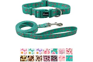 Olahibi Polyester Dog Collar Leash Set,Green Flamingo Pattern Collar and 150CM Matching Lead for Large Dogs.(L, Green Flamingo Set)