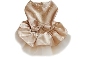 Suki suki Tutu-Kleid für Hunde, mit Schleife, Prinzessinnen-Kostüm, Größe XS (Champagner)