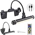 HONWELL LED Picture Light with Remote Control, Wireless Rechargeable Dimmer Wall Light, Rotating Light Head Painting Light, Artwork Light with 3 Lighting Modes,Display Lights for Dartboard, Black