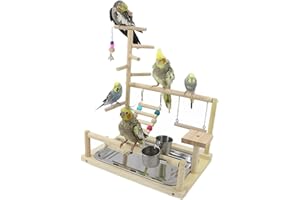 WishesMar Bird Playground Parrot Play Stand with Feeder Cup Swing Climb Ladder and Tray Budgie Playground Cage Exercise Gym Toys for Parakeets Cockatiel, Wooden, Size About 17.7x14.6x10.2 In #B