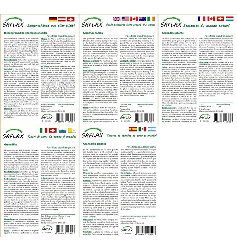 SAFLAX – Riesengranadilla / Königsgranadilla – 12 Samen – Mit Substrat – Passiflora quadrangularis - 4