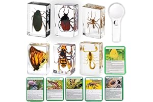 KSVMOAG 6 Pcs Real Insect in Resin Specimens,Bug Collection Paperweights for Office Desk Decor Christmas Display Supplies Durable Preservation with Magnifying Glass and Insect Card