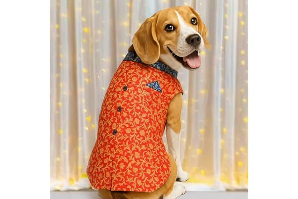 Mutt of Course Dog Kurta Wedding Outfit for Large Dogs for Indie and Boxer Dogs