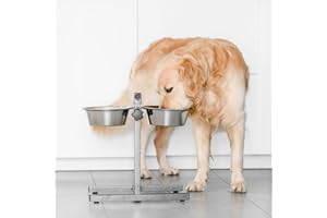 Aqpet Gnammy - Soporte H con 2 Cuencos elevados de Acero Inoxidable Altura Ajustable para Perros Gatos pequeños Animales 2 x 4300 ml 28,5 cm
