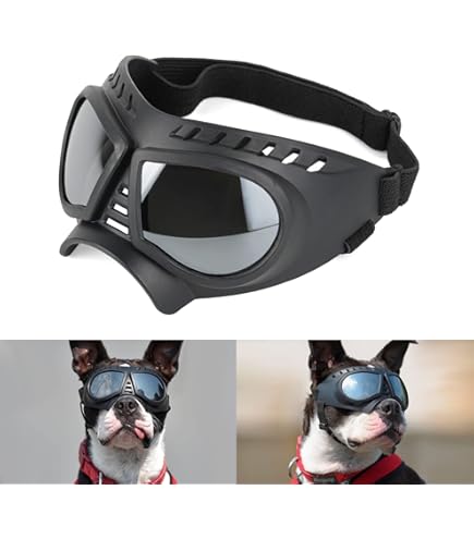 Hundesonnenbrille Mit UV-Schutz - Wasserdichte Doggles Für Mittlere Und Große Hunde