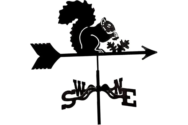 MagiDeal Girouette en Métal, Figurines pour Jardin, Outil De Mesure Professionnel, Girouette Con Support pour Extérieur, Ferme, Cour, Tonnelle- écureuil