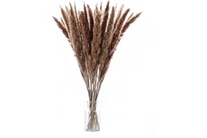 LUOWAN Erba della Pampas, 55-60cm Fiori Secchi Naturali Decorativi per Vasi, Bouquet Boho Decorazioni Casa Camera da Letto Ragazza, Fotografare Decorazione della Tavola(30 PCS)