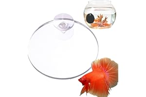 HIGYEE Espejos Para Peces Betta - Espejo De Entrenamiento Betta | Espejos Para Peces Betta, Juguetes Con Espejos Para Ejercicios Betta, Adornos Temáticos Para Acuario | Decoración De Espejo De Tanque Betta