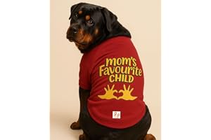 Lana Paws Mom's Favourite Child Comfortable Winter Sweatshirt for Dogs, Large Labradors, Large Golden Retrievers, German Shepherd, Rottweiler & Similar, Size 31