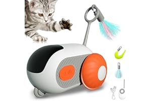 EPROICKS Interactive Cat Toy with Remote Control, Intelligent Cat Ball with 2 Modes, Intelligent Electric Mouse Pet Toy, USB Rechargeable, Gifts for Cats (Orange Colour)