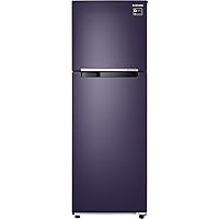 Samsung 272L 2 Star Inverter Frost Free Double Door Refrigerator (RT30T3082UT/HL, Pebble Blue)