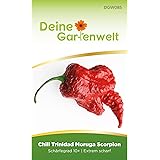Chili Trinidad Moruga Scorpion | Chilisamen | Samen für scharfe Chilis | Saatgut