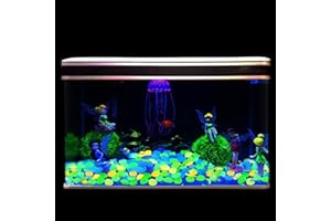 RYGRZJ Galets phosphorescents pour jardin, pierres phosphorescentes, pour aménagement paysager, allée, jardin, aquarium (chrome)