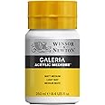 Winsor & Newton Galeria Matt Medium 250ml