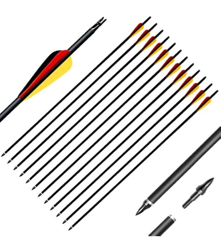 Avalon Carbon-Hybridpfeile – Spine 600, 31 Zoll, Mit Stahlspitze 90 Grain, 10er Pack