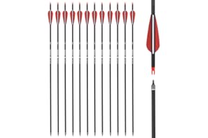 TY ARCHERY Carbon Arrow Hunting Arrows Spine 500 with 100 Grain Removable Tips for Archery Compound Bow Recurve Bow Practice Shooting (Pack of 12)