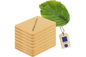 HOFMEISTER HOLZWAREN HOFMEISTER® - 8 sottobicchieri per raclette in legno, 10 cm, protegge le padelle e i tavoli da raclette da olio e graffi, resistenti al calore, produzione europea, faggio