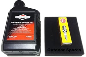 Wadoy Mountfield Lawn Mower Service Kit Suitable for RV150,SV150 & V35 Engines