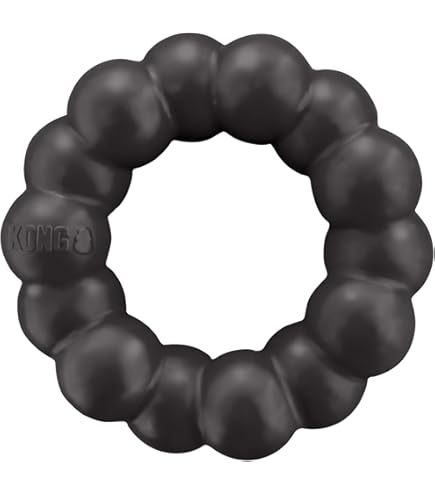 KONG Extreme Goodie Bone - Langlebiger Hundeknochen Für Starke Kauer