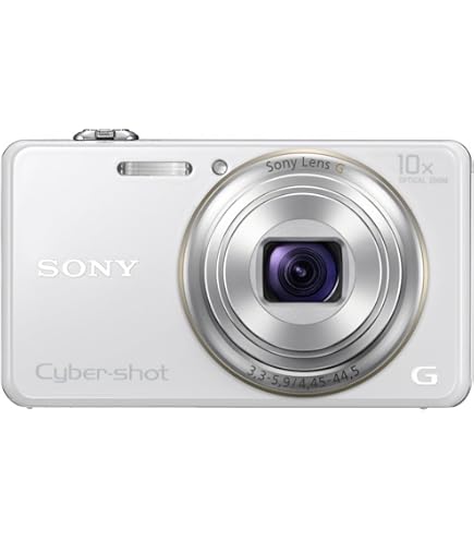 Sony Cyber-shot WX100 High Zoom CMOS Sensor Camera - Black (18.2MP