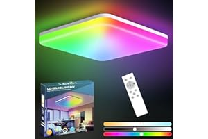 Letlit LED Plafón RGB Regulable con Mando a Distancia, 24W IP54 Plafón Cambiante de Color con 6 Colores RGB, 2700K-6500K 2200LM Lámpara para Salón Dormitorio Habitación Infantil Cocina, 27.5cm