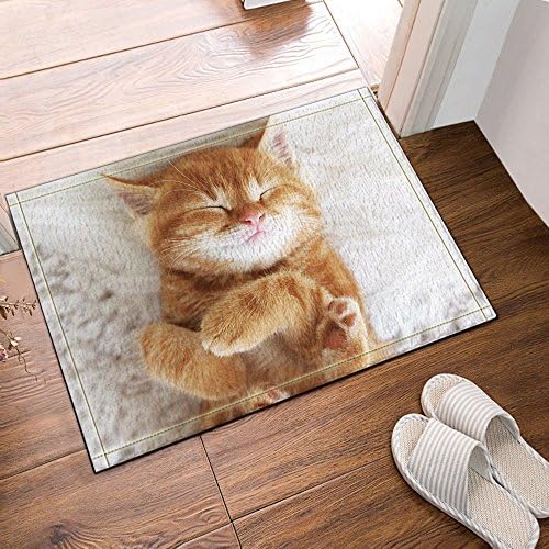 limttednethard Animal Decor. The Lovely Cat is Sleeping Bath Rugs, Non-Slip Doormat Floor Entryways Outdoor Indoor Front Door Mat, Kids Bath Mat, 15.7x23.6in, Bathroom Accessories