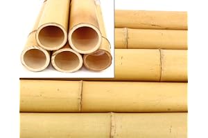 2 x bambufiber 200 cm moso blekt med tjock diameter på 8–9 cm – bambupinne gulaktig 2 m lång