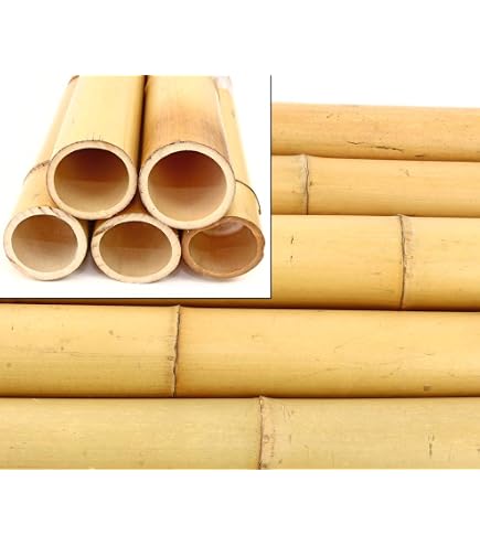 CANNE IN BAMBOO PER SOSTEGNO ORTAGGI E ALTRI USI DA CM 150 (10