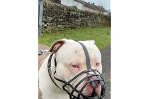 L&J PETS UK Biothane Dog Muzzle | Training & Behaviour | Strong, Waterproof Design | XL American Bully, XL Bully | Handmade, Durable