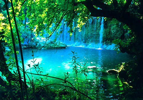 FOTOTAPETE 250×175 cm – VLIES TAPETE PREMIUM – PROFI QUALITÄT – Top moderne Wanddeko – Riesen Wandbild – Top Design Tapete – Neue exklusive Edition mit noch besser Druckauflösung – Deutsches Premium Vlies – Natur Landschaft Wasserfall c-B-0132-a-a - 3