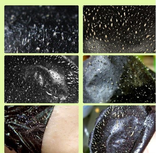 Black Head Peel Off Maske … (12 Stück) - 2