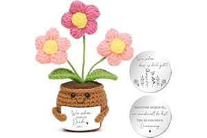 MorLuks Gehäkelte Blumen, Pocket Hug Deutsch mit Umarmung Glücksbringer, Gestrickte Blumenpuppe, Positive Blume, Mutmacher Geschenk für Freund Familie Kollegen Z16-4
