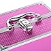 tinkertonk Professional Aluminium Beauty Cosmetic&Makeup Case Toiletry Storage Nail Hairdressing Vanity Box Jewelry Case Cosmetics Box Trolley (Pink Pink)