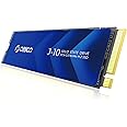 ORICO NVMe SSD 1TB M.2 with Heatsink, Up to 3100MB/s PCIe Gen3x4 2280 Internal Solid State Drive, SLC Cache 3D NAND, Compatible with Laptop and PC Desktops -J10