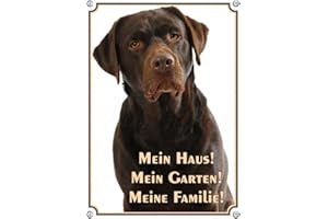 Petsigns Warnschild brauner Labrador - Mein Haus! Hundeschild aus Stabiler Metallplatte, DIN A4