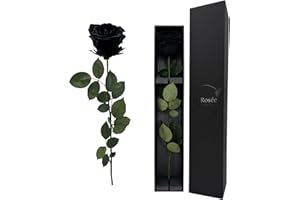 LA ROSEE ETERNELLE Rosa Eterna Perfumada 48 cm – Flor Natural Preservada de Ecuador – Regalo Romántico para Mujer : Cumpleaños, San Valentín, Boda o Día de la Madre – Color : Black