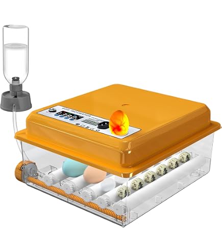Couveuse Automatique 12/24 Œufs M12 – Contrôle Température/Humidité, Retournement Auto, Vue 360° (Blanc/Jaune)