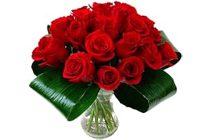 Clare Florist Love 20 Red Roses Fresh Flowers Bouquet - Romantic Valentine's Flowers