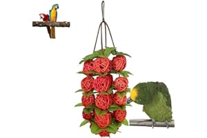 NganSuRong Pet Bird Parrot Rattan Balls Chewing Interactive Toys Bite Chew Hanging Cage Swing Budgie Climb Bungee Training Cockatiel Hammock Parakeet (Red)