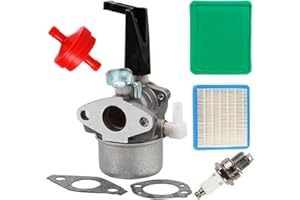 Carkio 696065 Vergaser-Set mit Dichtung, YL-991 Luftfilter, YL-999 Kraftstofffilter, YL-721 Zündkerze für Briggs Stratton 697422 110412 110402 Motorfräse Vergaser