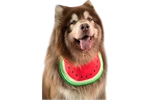 PetPhindU Traje del Perro Mascota Perro Babero Pañuelo para Perros Pañuelo Sandía De Dibujos Animados Mascota De Accesorios De Verano Babero Impermeable De Mascotas para Perros Grandes y Medio