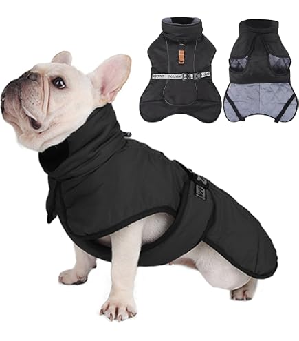 Cappotto Invernale Per Cani Piccoli - Felpa Con Cappuccio, Taglia L, Nero