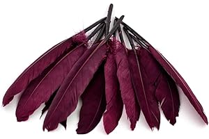 ‎CREATIVERY 10 Indian feathers approx. 10-15 cm Decorative Feathers Craft Feathers Masks Feathers Jewellery Feathers Bird Feathers