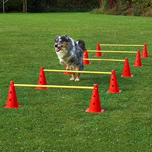 Sportikel24 Sport IKEL24 Hurdles – Set of 5 KH5SETBG Cones, Red/Yellow