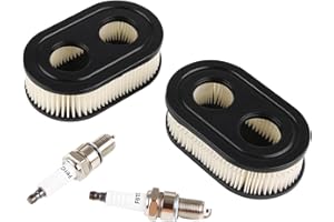 DENSIEG Lot de 2 filtres à air + bougies d'allumage Briggs & Stratton 550E 550EX Eco-Plus 575EX Series Remplace 798339 798452 593260 093000er 09P0000er moteur 4247 5432 5432K