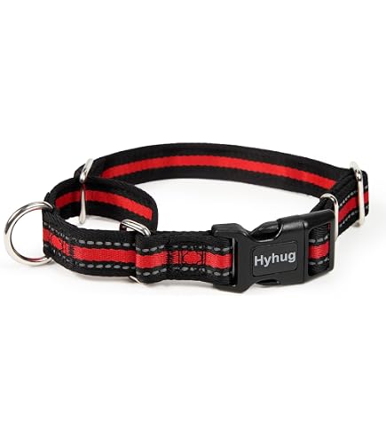 Martingale Hundehalsband - No-Pull Training, Verstellbar Mit Stop-Ring, Für Kleine Bis Große Hunde