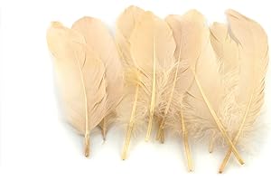 CREATIVERY 10 plumas de ganso 15 – 20 cm//plumas reales Manualidades plumas joyas plumas Decorar plumas pájaro plumas, plumas champán 815