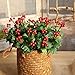 Produktbild Dragon868 Gefälschte Frucht Granatapfel Beeren Künstliche Blatt Bouquet Floral Garten Home Decor (Rot2, Künstliche Blume)
